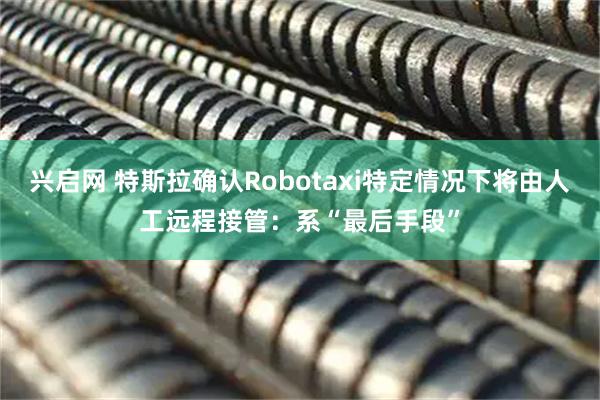兴启网 特斯拉确认Robotaxi特定情况下将由人工远程接管：系“最后手段”