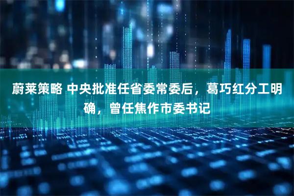 蔚莱策略 中央批准任省委常委后，葛巧红分工明确，曾任焦作市委书记